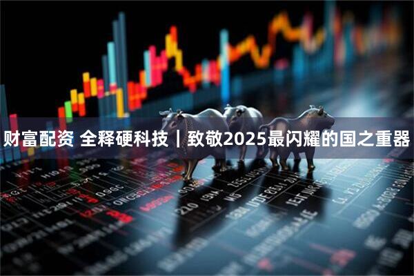 财富配资 全释硬科技｜致敬2025最闪耀的国之重器
